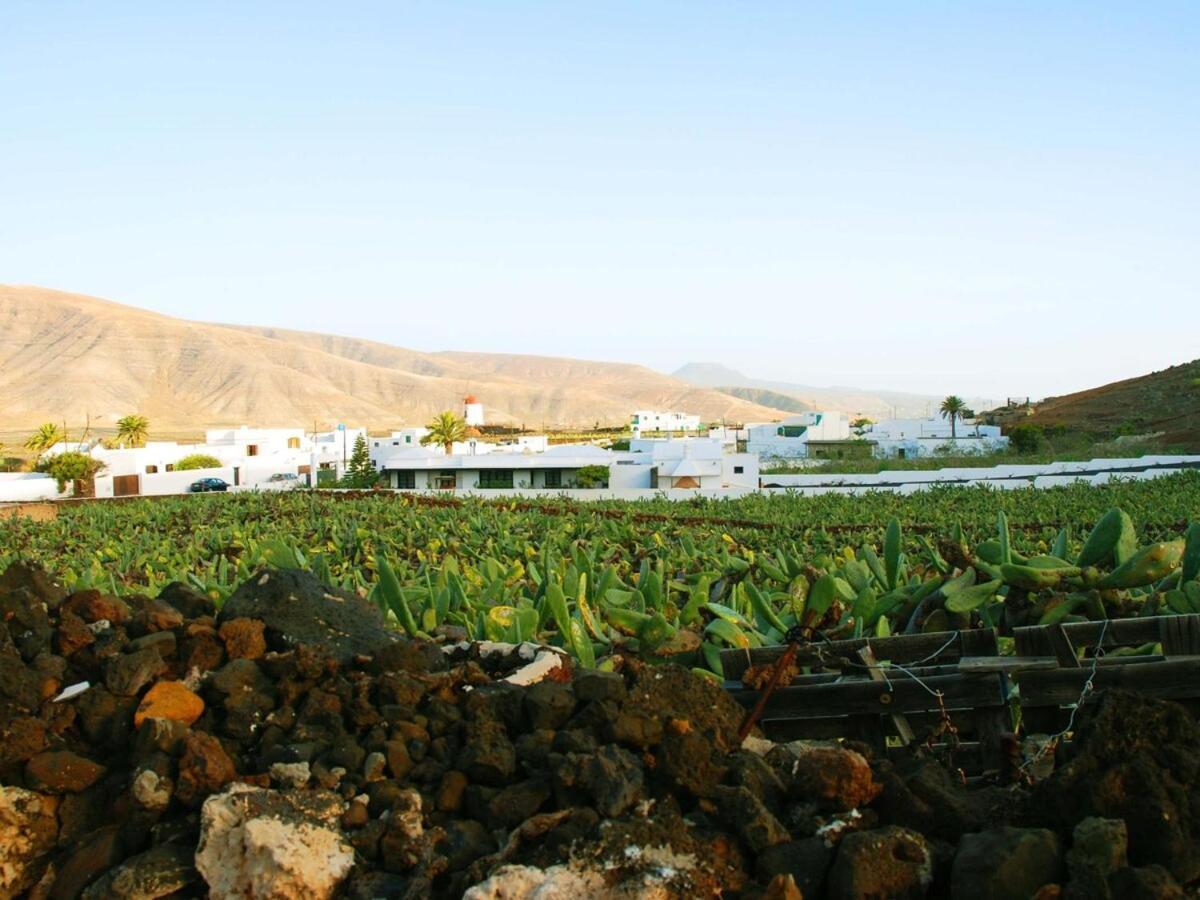 Villa Laura Guatiza מראה חיצוני תמונה